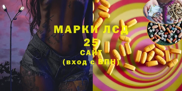 2c-b Бородино