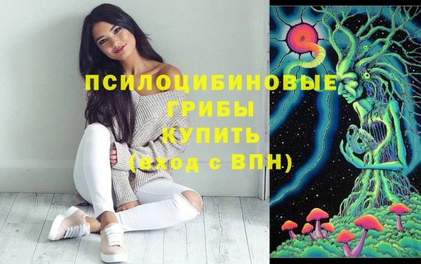 гидропоника Бронницы