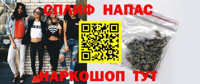 СК Новозыбков