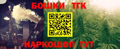 СК Новозыбков