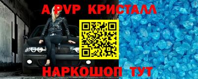 СК Новозыбков