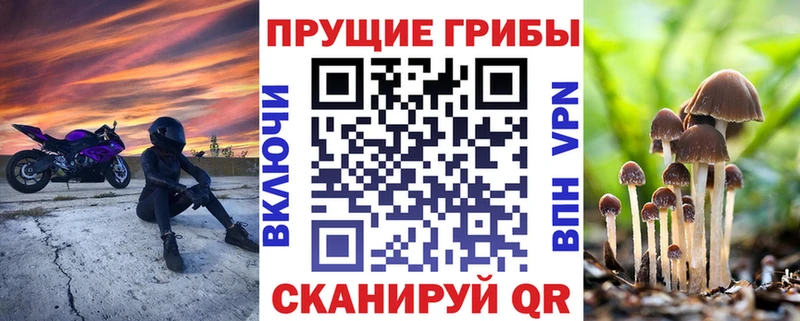 Галлюциногенные грибы мицелий  Можайск 