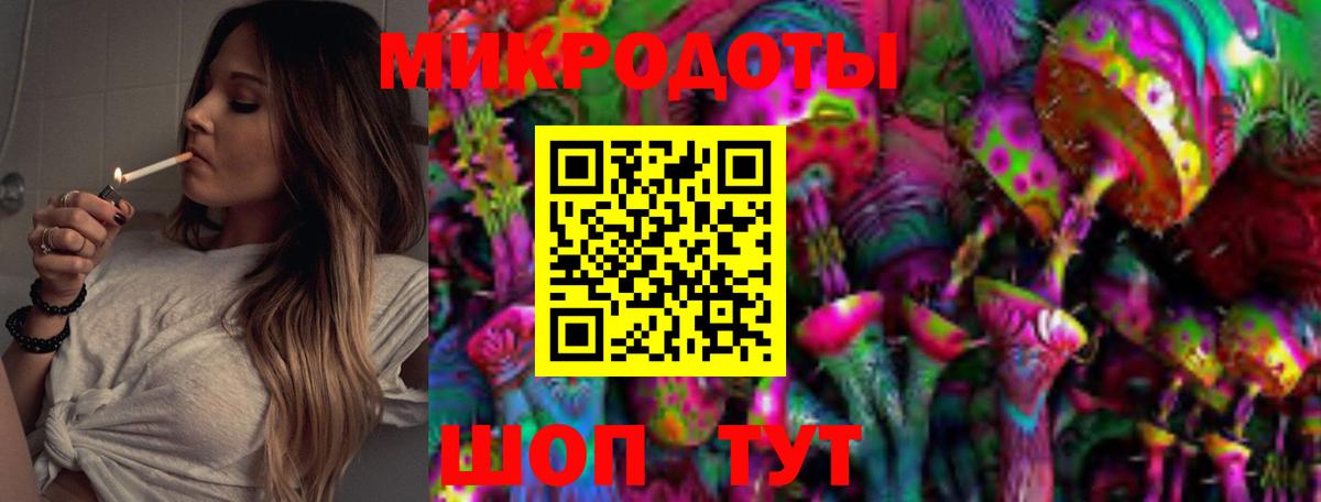 Псилоцибиновые грибы прущие грибы Можайск
